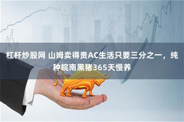 杠杆炒股网 山姆卖得贵AC生活只要三分之一，纯种皖南黑猪365天慢养